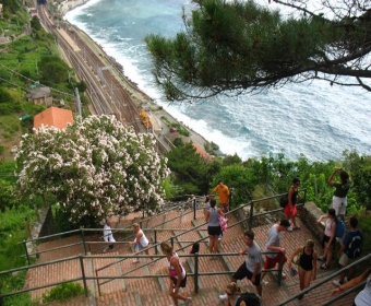 many stairs-IMG_6674.jpg