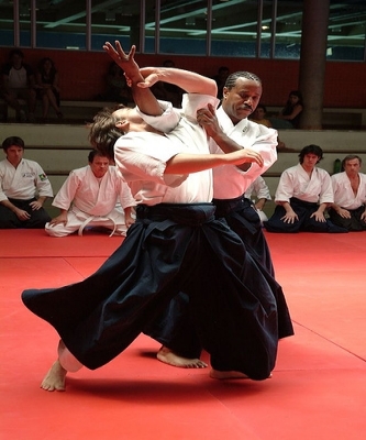 The Aikido Way