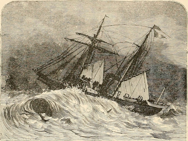 leaders_lead leaders_lead