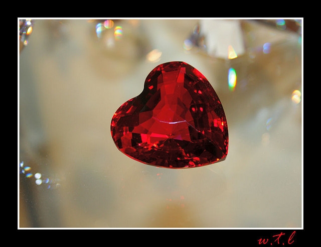 wholehearted wholehearted