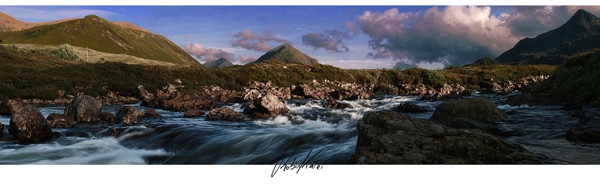 joy, peace, and health